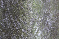 Grant Thorold fibreglass roof work